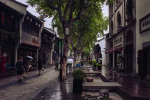 An old Chinese street turned into a commercial boulevard. There's a small canal on the side of the street, as well as a row of trees next to it.